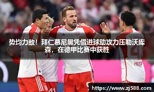 火狐电竞